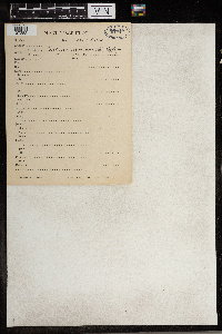 Thalictrum thalictroides image