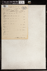 Moehringia lateriflora image