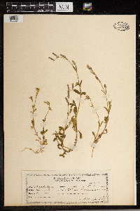 Image Associated With the Occurrence