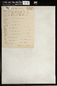 Thumbnail image of current specimen