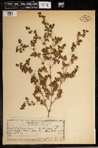 Image Associated With the Occurrence