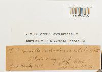 Image Associated With the Occurrence