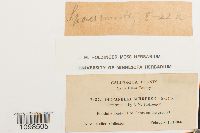 Image Associated With the Occurrence