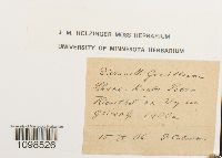 Image Associated With the Occurrence