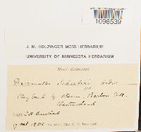 Image Associated With the Occurrence