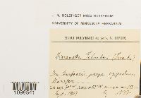 Image Associated With the Occurrence