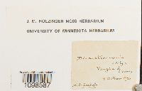 Dicranella varia image