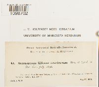 Media resource of Pohlia filiformis