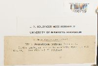 thumbnail image of current specimen