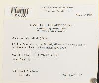 Anomodon minor image