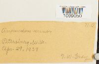 Image Associated With the Occurrence