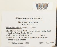 Image Associated With the Occurrence