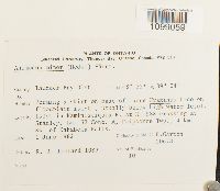 Image Associated With the Occurrence