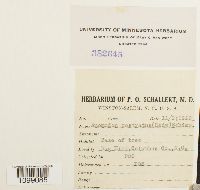 Image Associated With the Occurrence