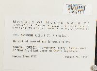 Anomodon rugelii image