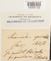 Image Associated With the Occurrence