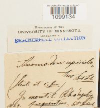 Image Associated With the Occurrence