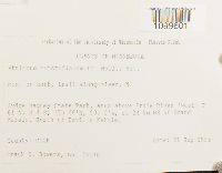 Atrichum oerstedianum image