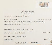 Image Associated With the Occurrence