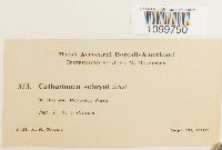 Image Associated With the Occurrence