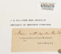 Image Associated With the Occurrence