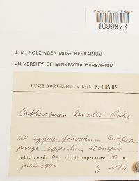 Image Associated With the Occurrence