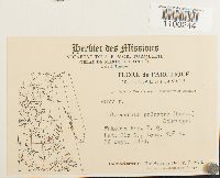 Aulacomnium palustre image