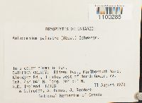 Aulacomnium palustre image