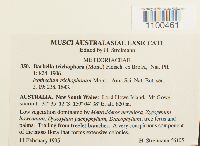 Thumbnail image of current specimen