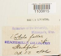 Image Associated With the Occurrence