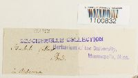 thumbnail image of current specimen
