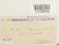 thumbnail image of current specimen