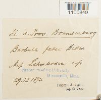 thumbnail image of current specimen