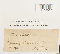 thumbnail image of current specimen