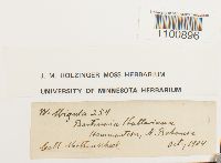 Bartramia halleriana image