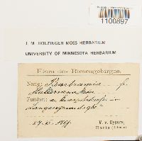 Bartramia halleriana image