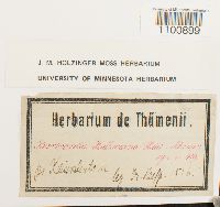 Bartramia halleriana image