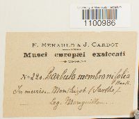thumbnail image of current specimen