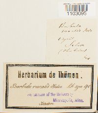 Image Associated With the Occurrence