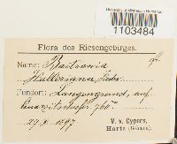 Image Associated With the Occurrence