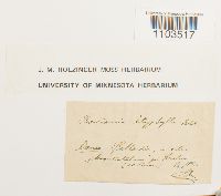 Image Associated With the Occurrence