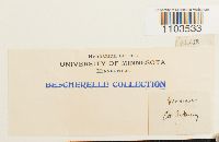 Bartramia ithyphylla image