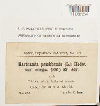 Image Associated With the Occurrence