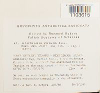 thumbnail image of current specimen
