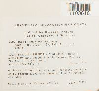 Thumbnail image of current specimen