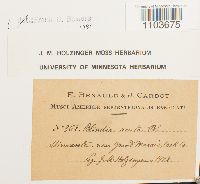 Media resource of Blindia acuta