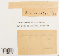 Image Associated With the Occurrence