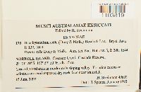 Thumbnail image of current specimen