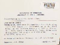 Media resource of Brachythecium laetum