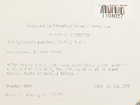 Brachythecium populeum image